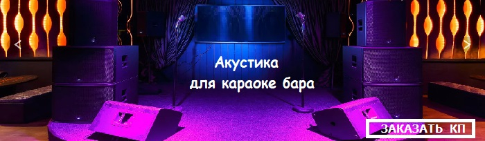 Акустика для караоке бара по выгодной цене
